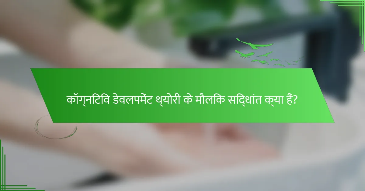 कॉग्निटिव डेवलपमेंट थ्योरी के मौलिक सिद्धांत क्या हैं?