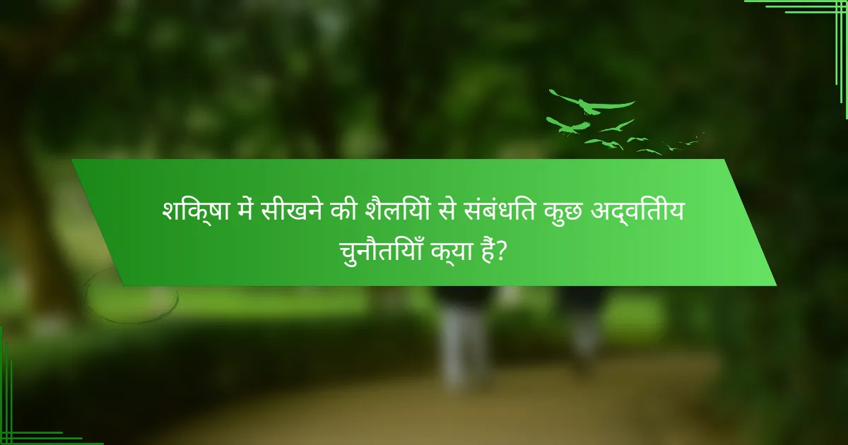 शिक्षा में सीखने की शैलियों से संबंधित कुछ अद्वितीय चुनौतियाँ क्या हैं?